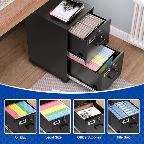 BYNSOE 2 Drawers File Cabinet with Lock Metal Vertical File Cabient with Wheels Mobile File Cabinet for Office Home Legal/Letter/a4 Size Require Assembly