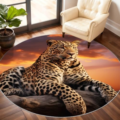 Leopard Round Area Rug - 2.6ft Washable Cheetah Print Round Rug for Kitchen, Wildlife Circle Rugs Soft Non-Slip Carpet for Bathroom Entryway Decor Mat