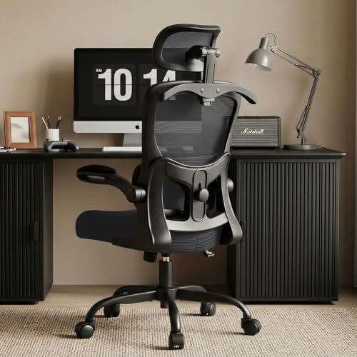 AreShark Office Chair Ergonomic Desk Chairs with Adjustable Lumbar Support& Headrest Hanger, High Back Breathable Mesh Chair with Wheels, Rolling Swivel Comfy Task Computer Chair for Home Work Gaming