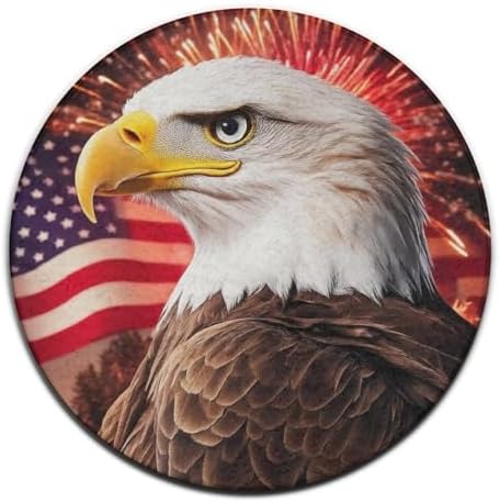 Large Round Area Rug Home Decor Modern Bathroom Rug Kitchen Office Circle Rug for Living Room Sofa Circle Cute Mat Bald Eagle American Flag Fireworks Art, 36inch