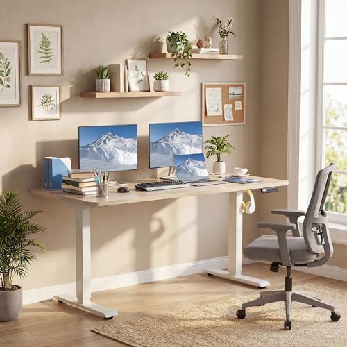 55'' × 24'' Height Adjustable Electric Standing Desk with Wheels