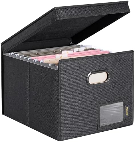BALEINE File Organizer Box with Lid, Collapsible Hanging File Storage Box