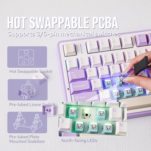 EPOMAKER x Aula F75 Gasket Mechanical Keyboard, 75% Wireless Hot Swappable Gaming Keyboard with Five-Layer Padding&Knob, BT/2.4GHz/USB-C, RGB (Purple, LEOBOG Reaper Switch)