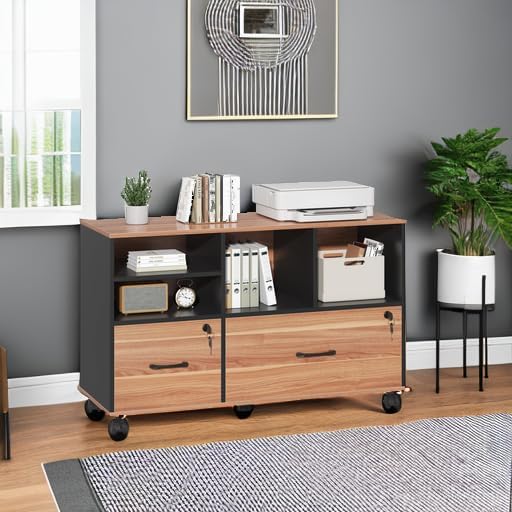 2 Drawer File Cabinet for Home Office, Lockable Rolling Filing Cabinet with Adjustable Shelves, Wood Lateral File Cabinet with Lock, Printer Stand Office Storage Cabinet, Rustic Brown & Black