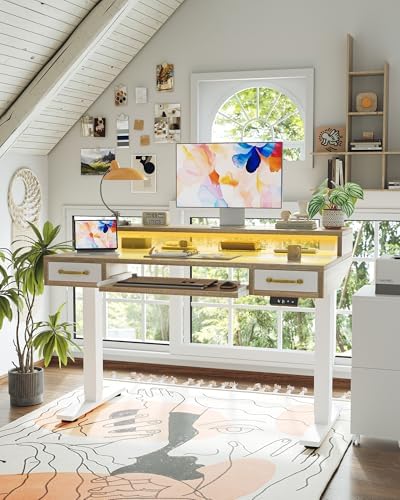 TIQLAB Standing Desk with Two Drawers, Stand Up Standing Desk Adjustable Height, Electric Sit Stand Table with Storage Shelf and Splice Board, with LED Light, 47 * 28 inch, Maple