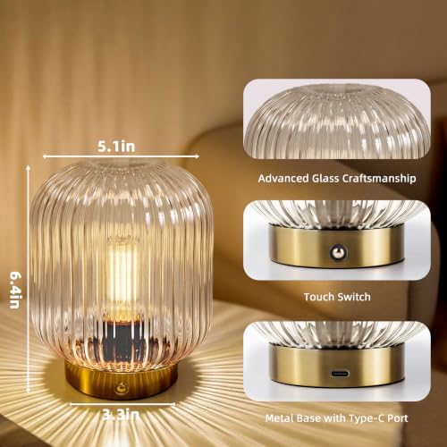 MJ PREMIER Rechargeable Table Lamp,Cordless Lamp with Memory Function,Clear