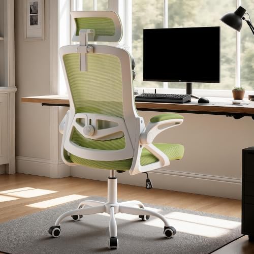 Ergonomic Mesh Office Chair with 2D Adjustable Headrest and Lumbar Support