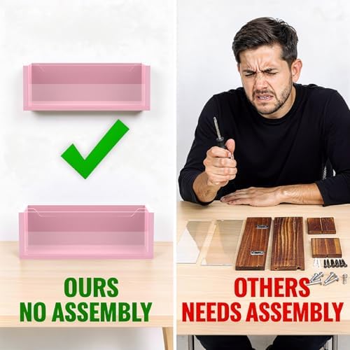 Pink Mail Organizer for Desk, Acrylic Letter Holder with Adjustable Divider