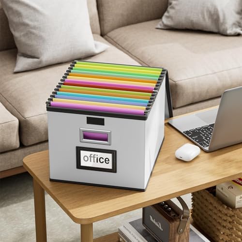 File Organizer Box with Lids, Collapsible File Folder Organizer
