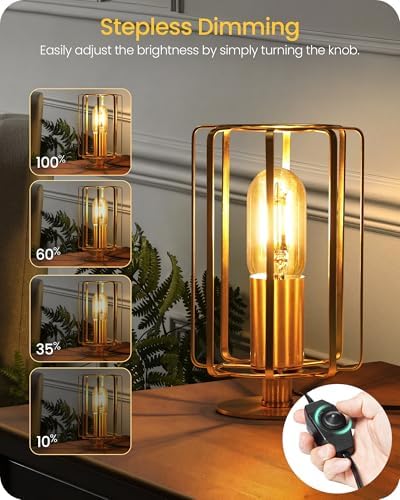 Industrial Table Lamp Set of 2, Small Brass Desk Lamp with Dimmable 2400K Warm Light LED Bulb, Vintage Desk Lamp, Nightstand Lamp for Bedroom, Study, Office, Small Space, Gold D05TLP205