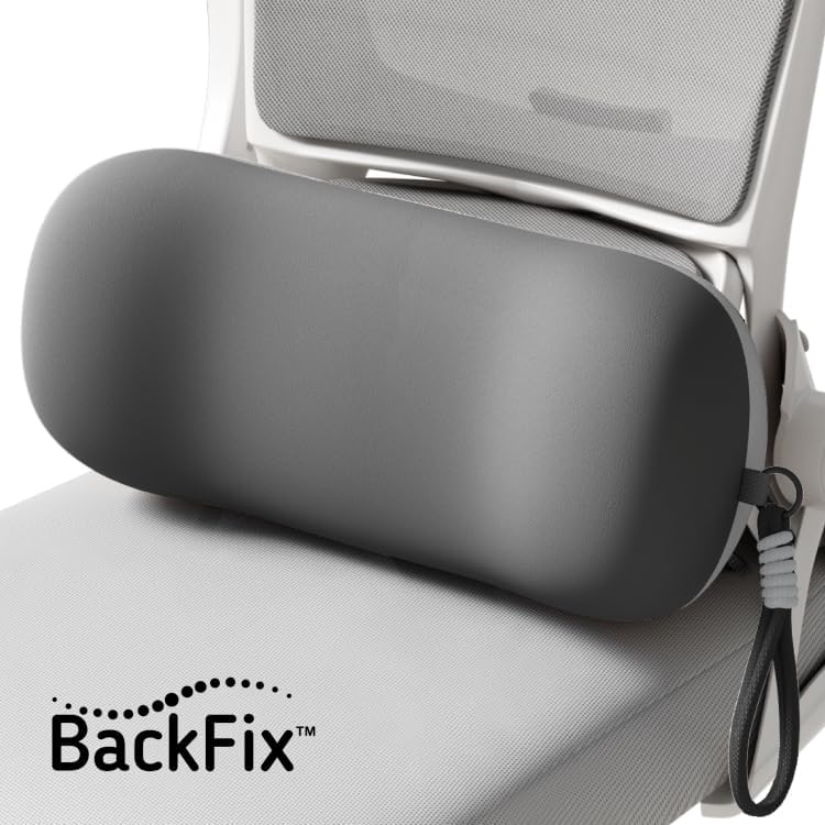 BackFix Fashion Colors Portable Lumbar Pillow. Cool Colors All Purpose Memory Foam Lumbar & Cervical Support for Lower Back and Neck Pain Relief. Silky Soft Spandex Blend Cover, Pink