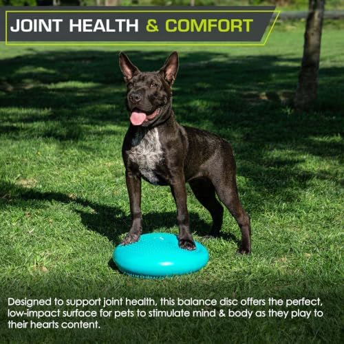 ProsourceFit Core Balance Disc, Inflatable Wobble Cushion with Hand Pump, Dual-Textured Non-Slip Surface for Core, Balance, and Stability Training, 14-inch