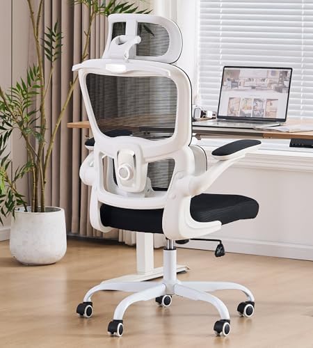 Ergonomic Office Chair, Executive Chairs with Adjustable Lumbar Support