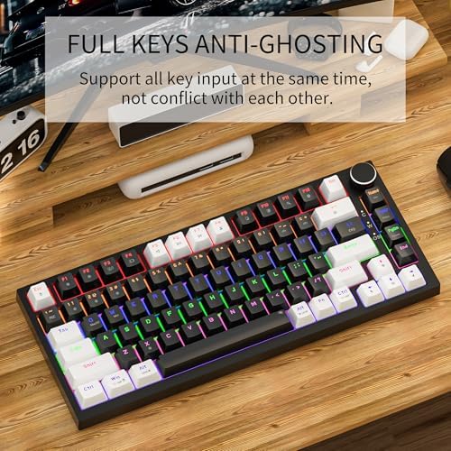 Newmen GM326 Mechanical Keyboard,75% Percent Gaming Keyboard,Wired Keyboard