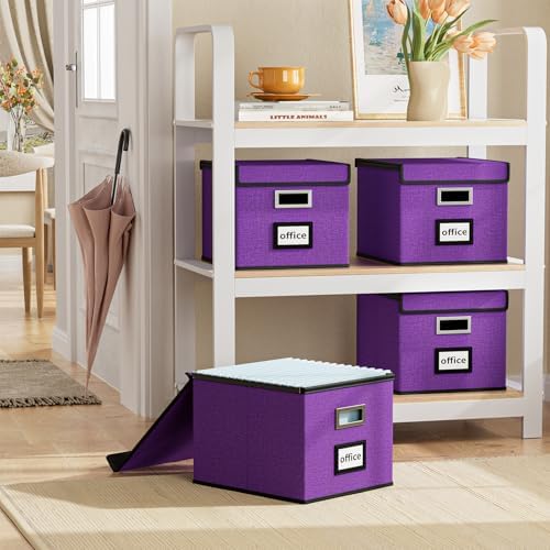 File Organizer Box with Lids, Collapsible File Folder Organizer