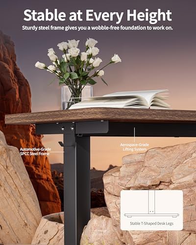 BIZUM Standing Desk Electric Adjustable Computer Desk-Stand up Desk Office Gaming Home Office Memory Desks 48x24 inches Wild Walnut
