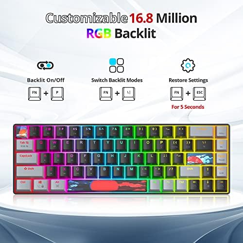Owpkeenthy Portable 65% Percent Mechanical Gaming Keyboard, Mini Wired Ultra Compact RGB 68 Keys Office Keyboard with Red Switch Backlit for PC/PS5/XBOX(Dark/ 68 Red Switch)