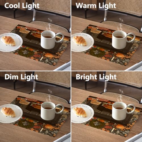Thanksgiving Fireplace Dinner Linen Placemats, Roast Turkey with Pies and Fruits Table Mats for Table Washable Heat Insulation Thick Dining Mat, Indoor/Outdoor 12X18 in 4 Pcs