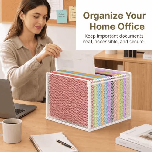 LEKETREE Mesh Hanging File Organizer Box for Desk, White 1 Pack