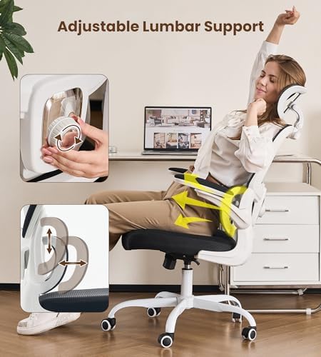 Ergonomic Office Chair, Executive Chairs with Adjustable Lumbar Support