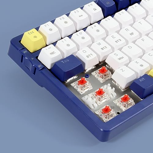 Merdia Wireless Mechanical Keyboard, Triple Mode 2.4G/USB-C/BT Gaming Keyboards 100 Keys Ice-Blue Backlit, Red Switch Keyboard | Rechargeable Mechanical Gaming Keyboards | Blue/White/Yellow