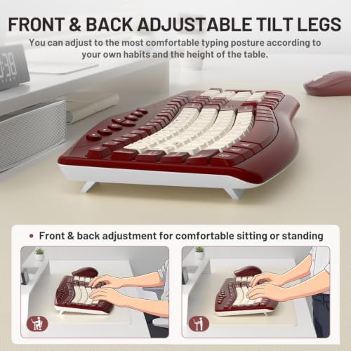 Wireless Keyboard and Mouse Combo Silent Ergonomic Curved Design for Office
