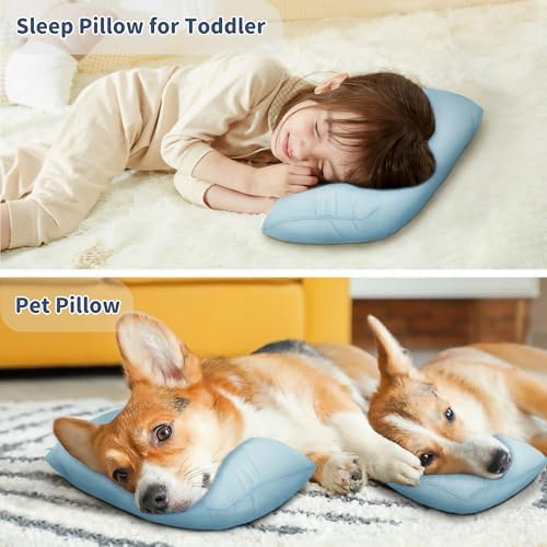 Pro Goleem Small Pillow, 11"x7"x2.5"(Blue)