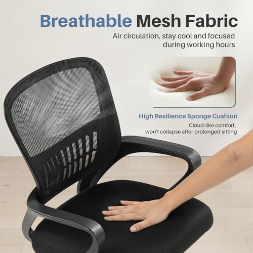DUMOS Home Office Chair, Computer Desk Chair, Lumbar Support