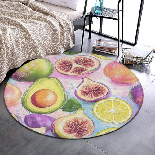 Large Round Area Rug Home Decor Modern Bathroom Rug Kitchen Office Circle Rug for Living Room Sofa Circle Cute Mat Different Fruits Summer Ornament Art, 24inch