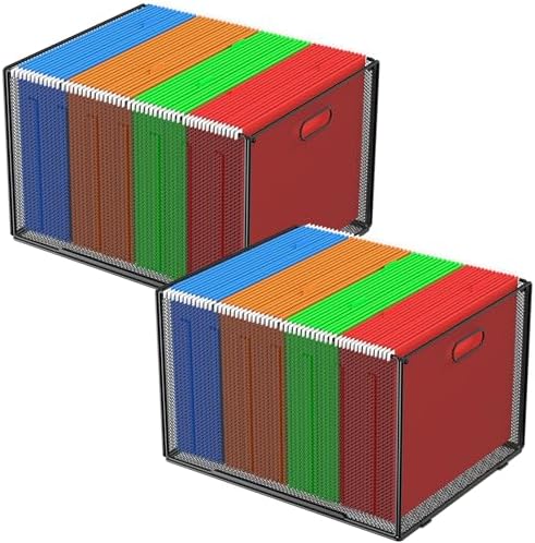MaxGear Hanging File Organizer Box,Letter Size File Folder Organizer,2 Pack