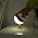 IFTHFOUR Bird Cordless Table Lamp, Small Cordless Bedside Lamp with 3 Color Temperature, Touch Sensor & Rechargeable Battery - Night Light for Kids, Bedroom, Bedside (Light+Light)