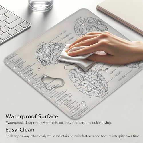 Biology Diagram of Human Brain Anatomy Mouse Pad, Science Durable Desk Mat
