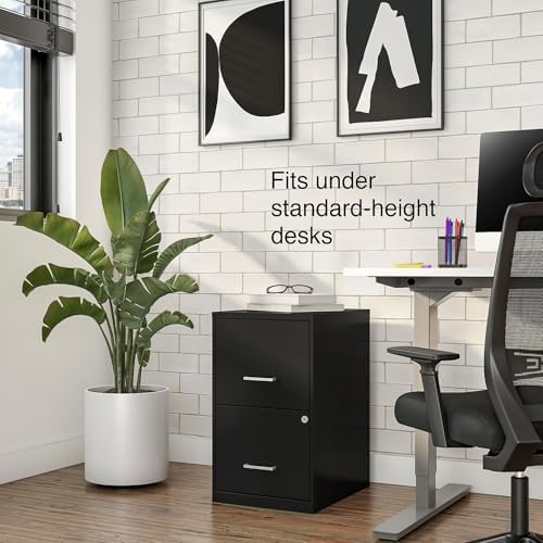 Staples Vertical File Cabinet, Letter/Legal, 2-Drawer, Locking, Black