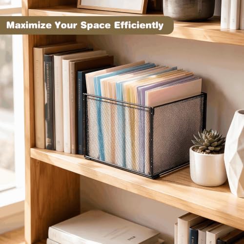 LEKETREE Mesh Hanging File Organizer Box for Desk, Black 1 Pack