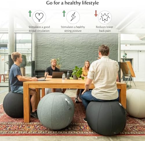 Backerz Balance Ball Chair for Office & Home - Ergonomic Exercise Ball for Posture & Back Pain Relief, Yoga Ball Chair - Sitting Ball with Washable Linen Cover