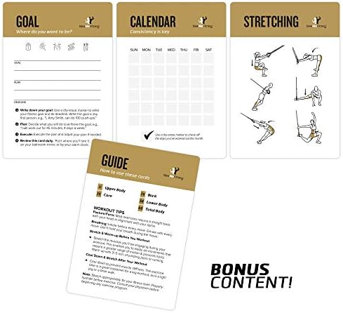NewMe Fitness Suspension Workout Cards - 62 Card Exercise Deck Vol 2