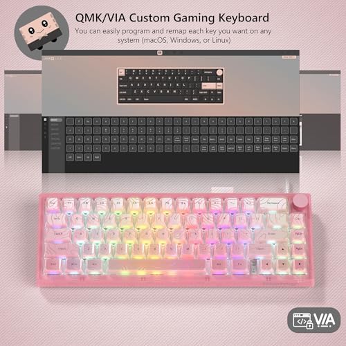 Womier 60% Percent Keyboard Pink Mechanical QMK/VIA Gaming Keyboard