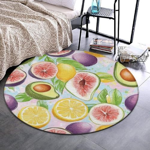 Room Sofa Yoga Soft Round Carpet, Home Decor Non Slip Kitchen Office Circle Rug, Machine Washable Modern Round Area Rug Different Fruits Summer Ornament Art, 24inch