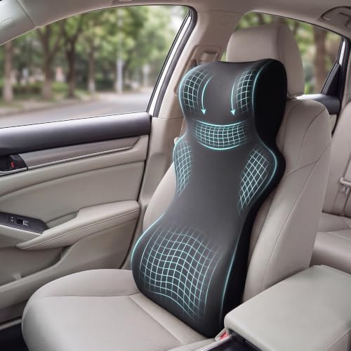 BALAPET One-Piece Car Headrest & Lumbar Support Pillow, Gray