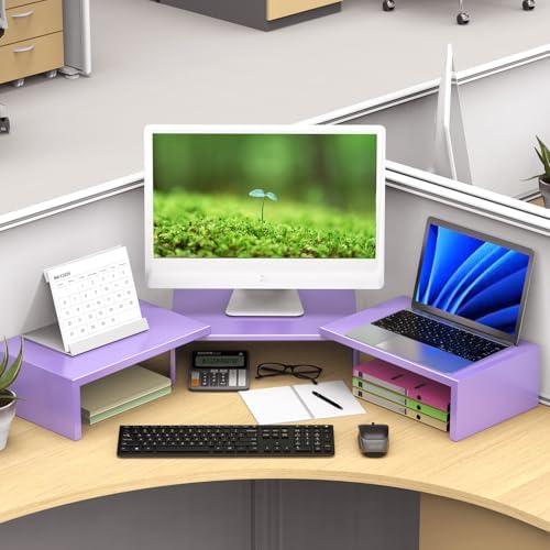 Dual Monitor Stand Riser