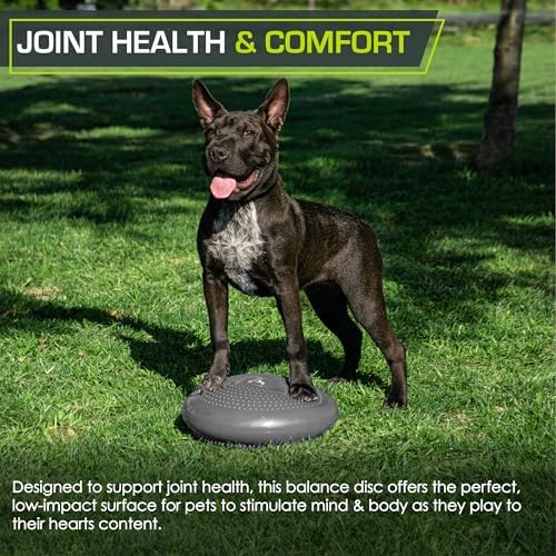 ProsourceFit Core Balance Disc, Inflatable Wobble Cushion with Hand Pump, Dual-Textured Non-Slip Surface for Core, Balance, and Stability Training, 14-inch