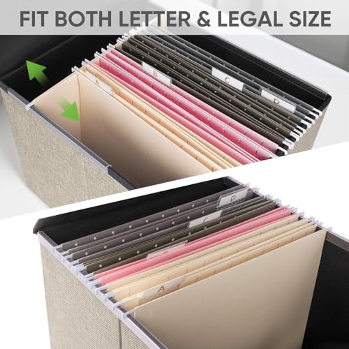 BALEINE File Organizer Box with Lid, Collapsible Hanging File Storage Box