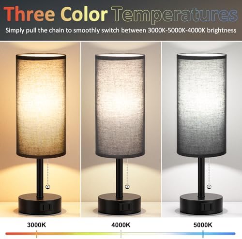 Black Bedside Table Lamps Set of 2 - Bedroom Lamp for Desk, AC Outlet