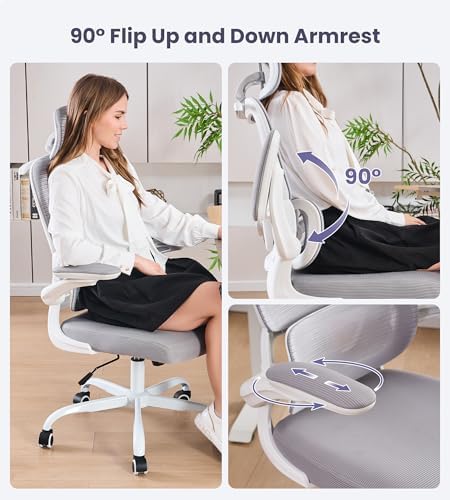 Ergonomic Office Chair, Executive Chairs with Adjustable Lumbar Support
