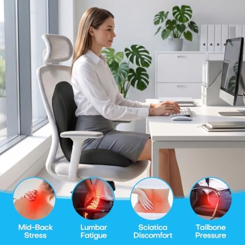 Ergonomic Seat Cushion for Office Chairs Lumbar Support Pillow, Black