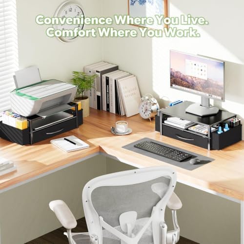 Ekisemio Desk Organizer and Accessories, 2-Tier Computer Monitor Stand Riser with Drawer & 2 Pen Holders - Multi-Functional Desk Organizer for Laptop, Printer & Home Office Supplies, Black