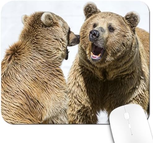 9.5x7.9 Inch Office/Gaming Mouse Pad, Wild Brown Bears Fighting Grizzlies, Cute Anti-Slip Mat for Desk Decor