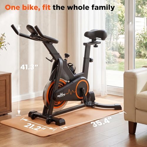 RELIFE REBUILD YOUR LIFE Exercise Bike, Friction Stationary Bike for Home