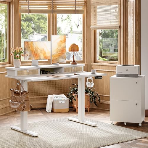 TIQLAB Standing Desk with Two Drawers, Stand Up Standing Desk Adjustable Height, Electric Sit Stand Table with Storage Shelf and Splice Board, 55 * 24 inch, White Wicker