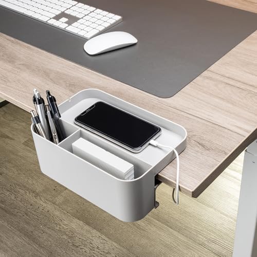 deflecto Standing Desk Large Desk Organizer, Two Sections, 9 x 6.17 x 3.5, Gray